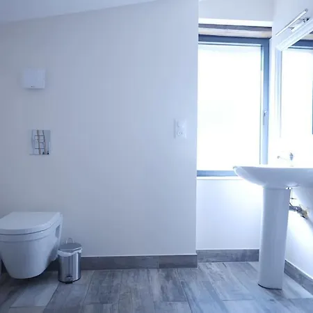 Dans Un Elevage D'alpagas